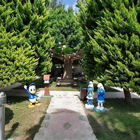 度假村 Alba 锡德