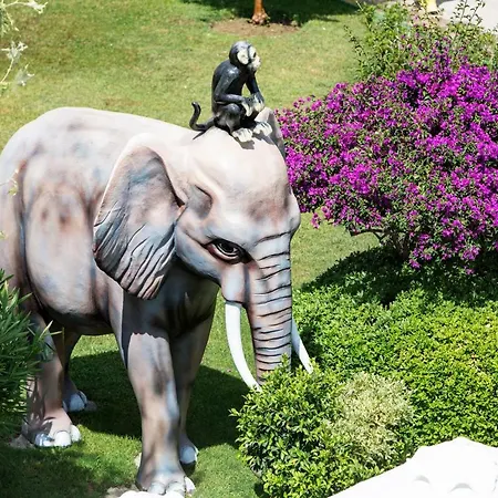 Alba Semesteranläggning (resort) Side